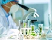 Laboratoire biotechnologie